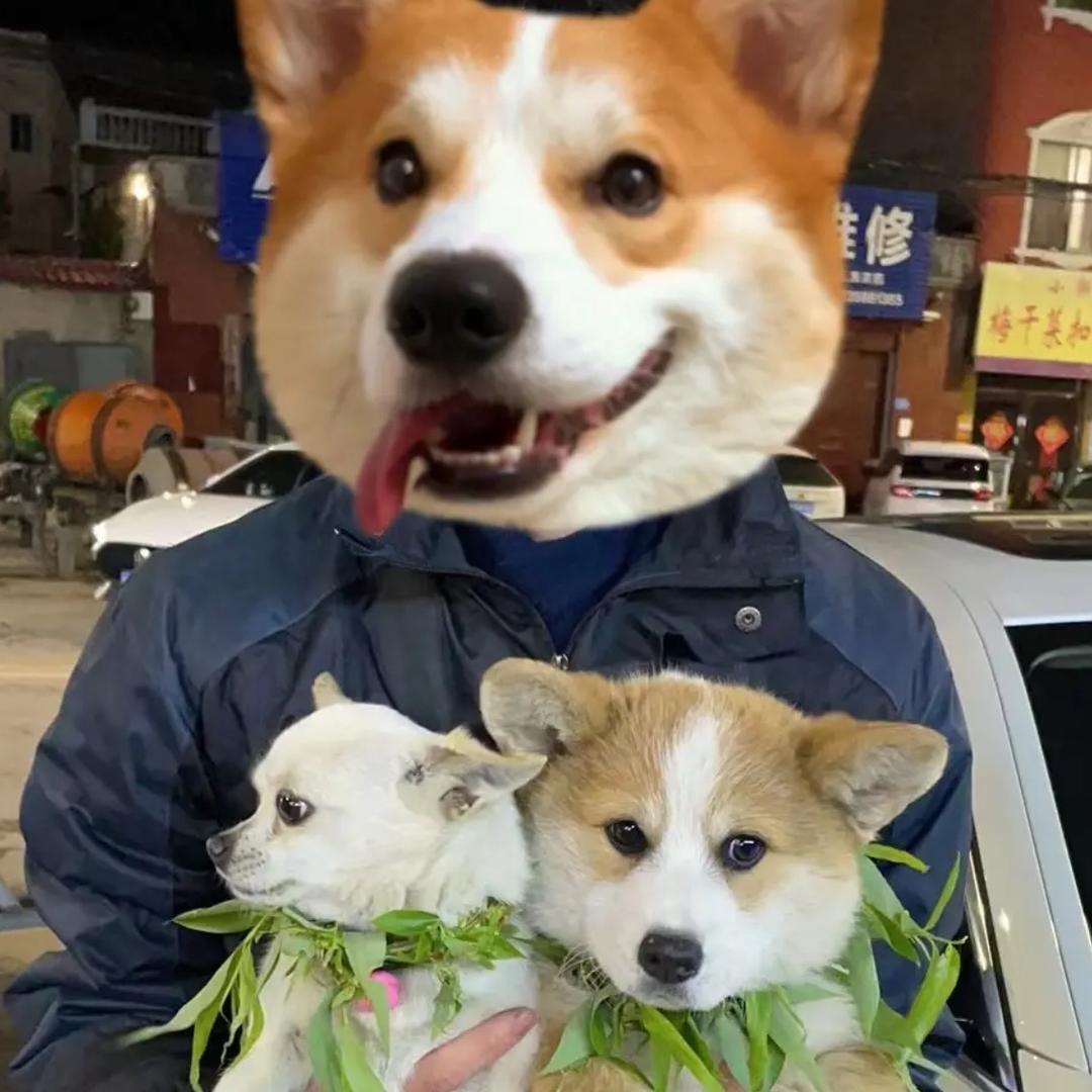 夏邑雅迪三中店