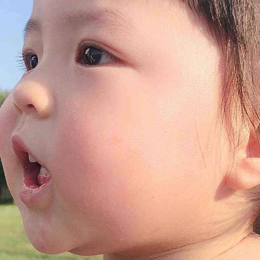 葵