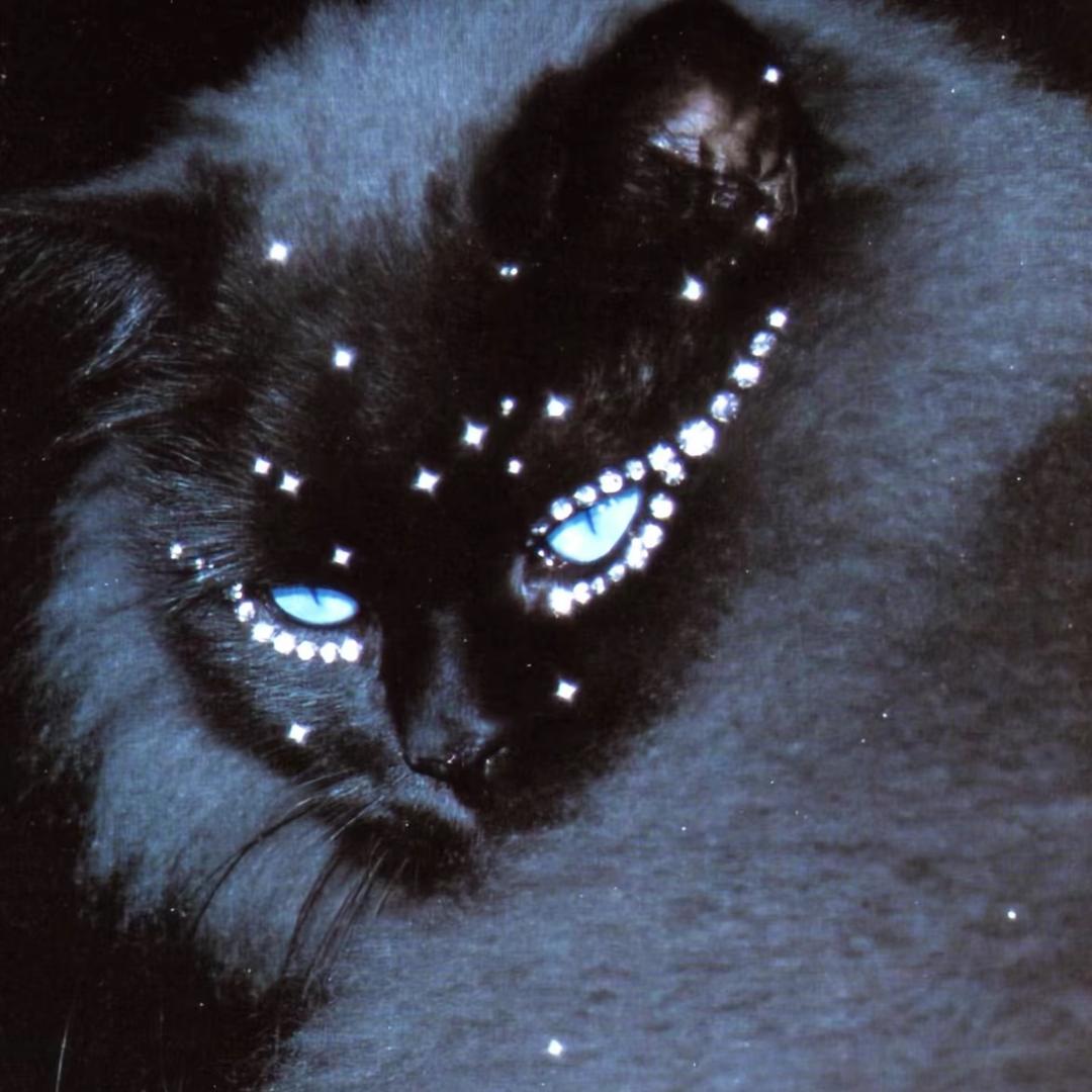 快乐的麦辣鸡腿堡