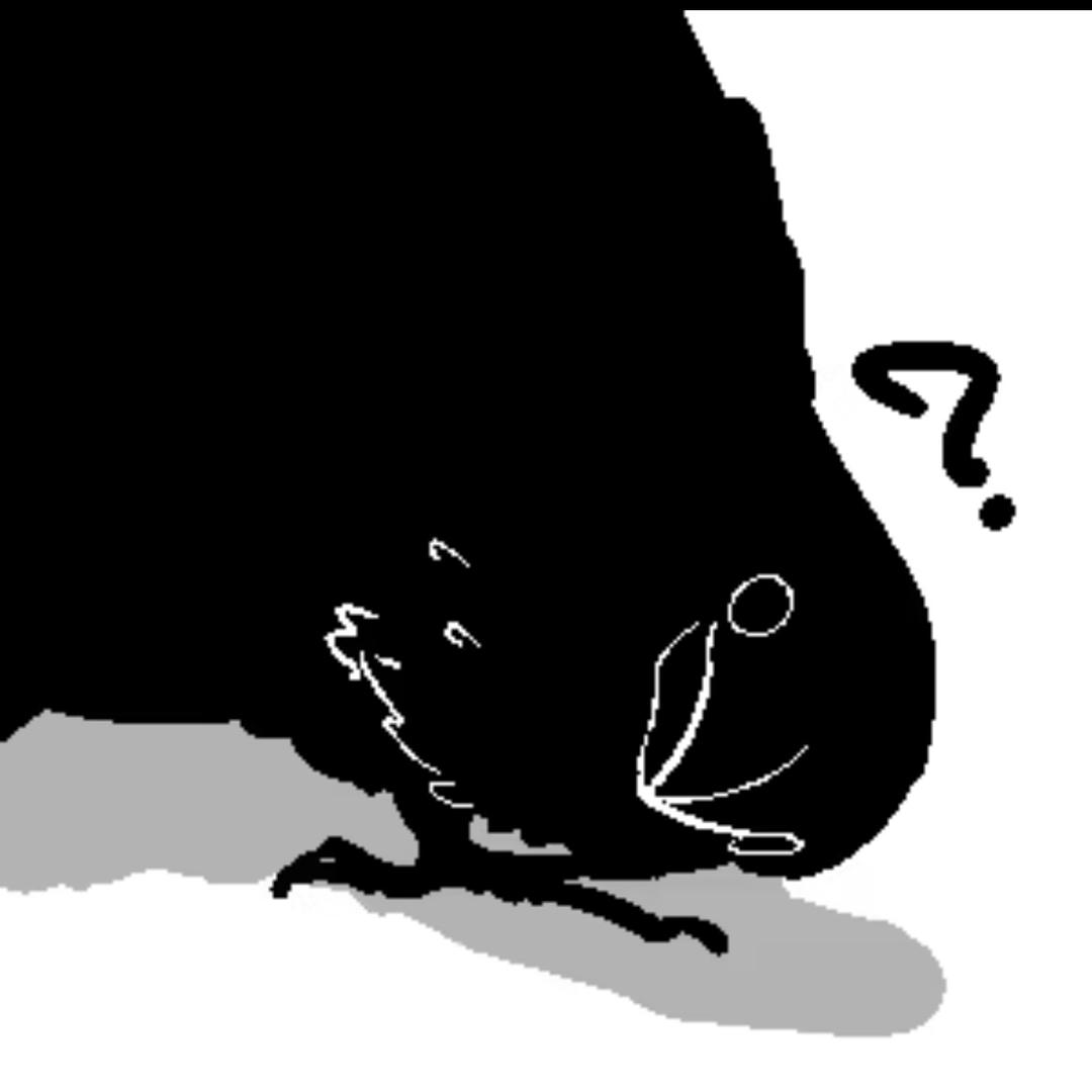 什么东西亮晶晶的🙌