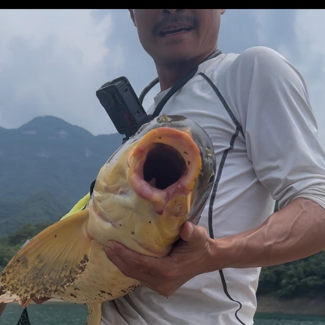 游钓老黄