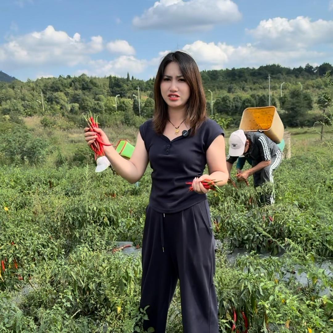 丹丹在农村（助农）