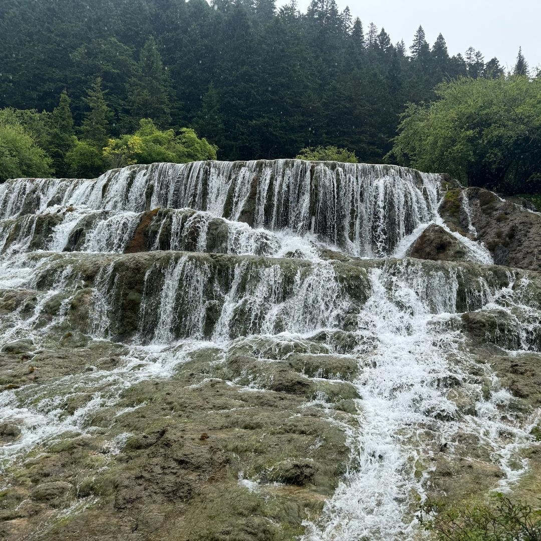 逆袭农民凌湘君头像
