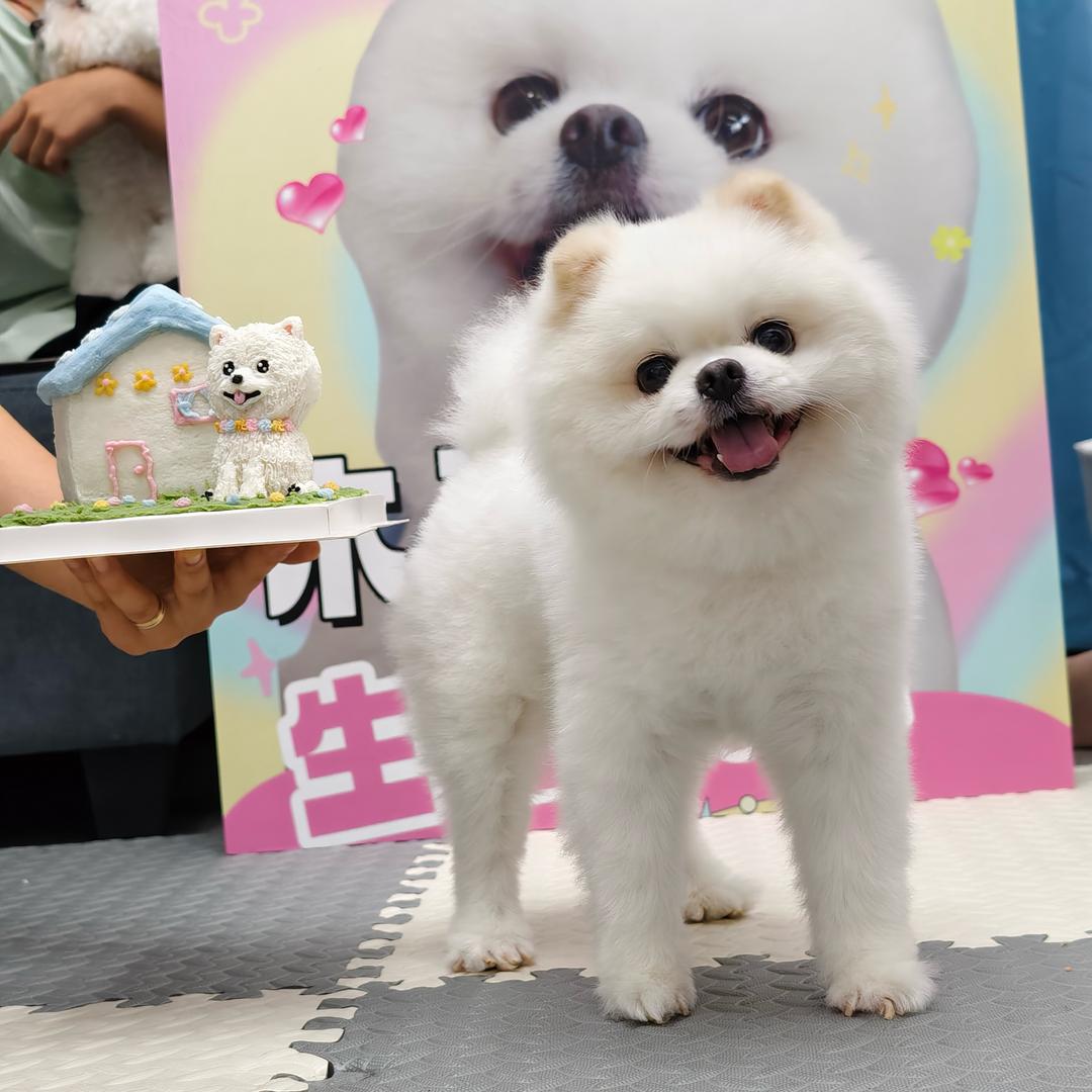 木子宝宝🐶