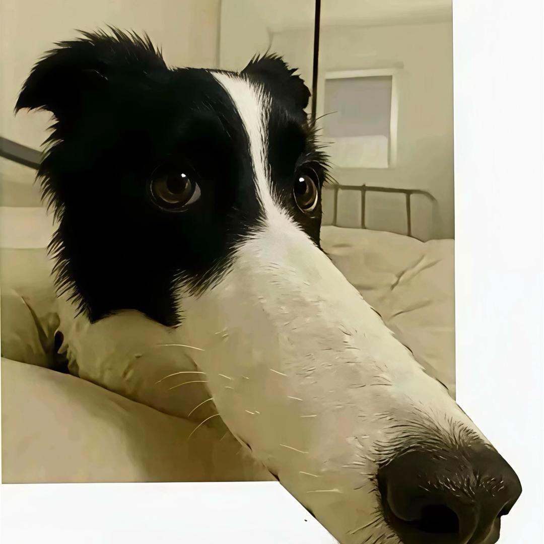 小面