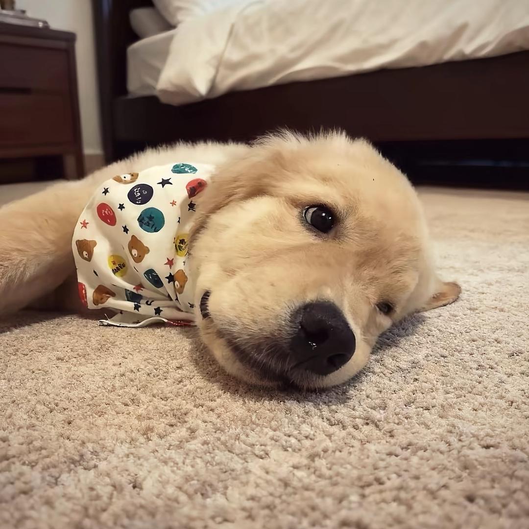 臆想