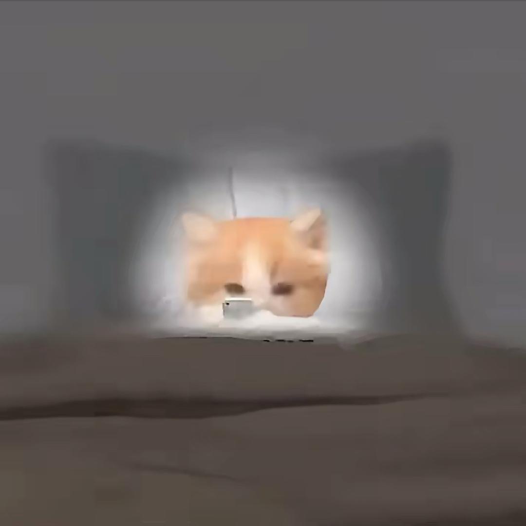 清从