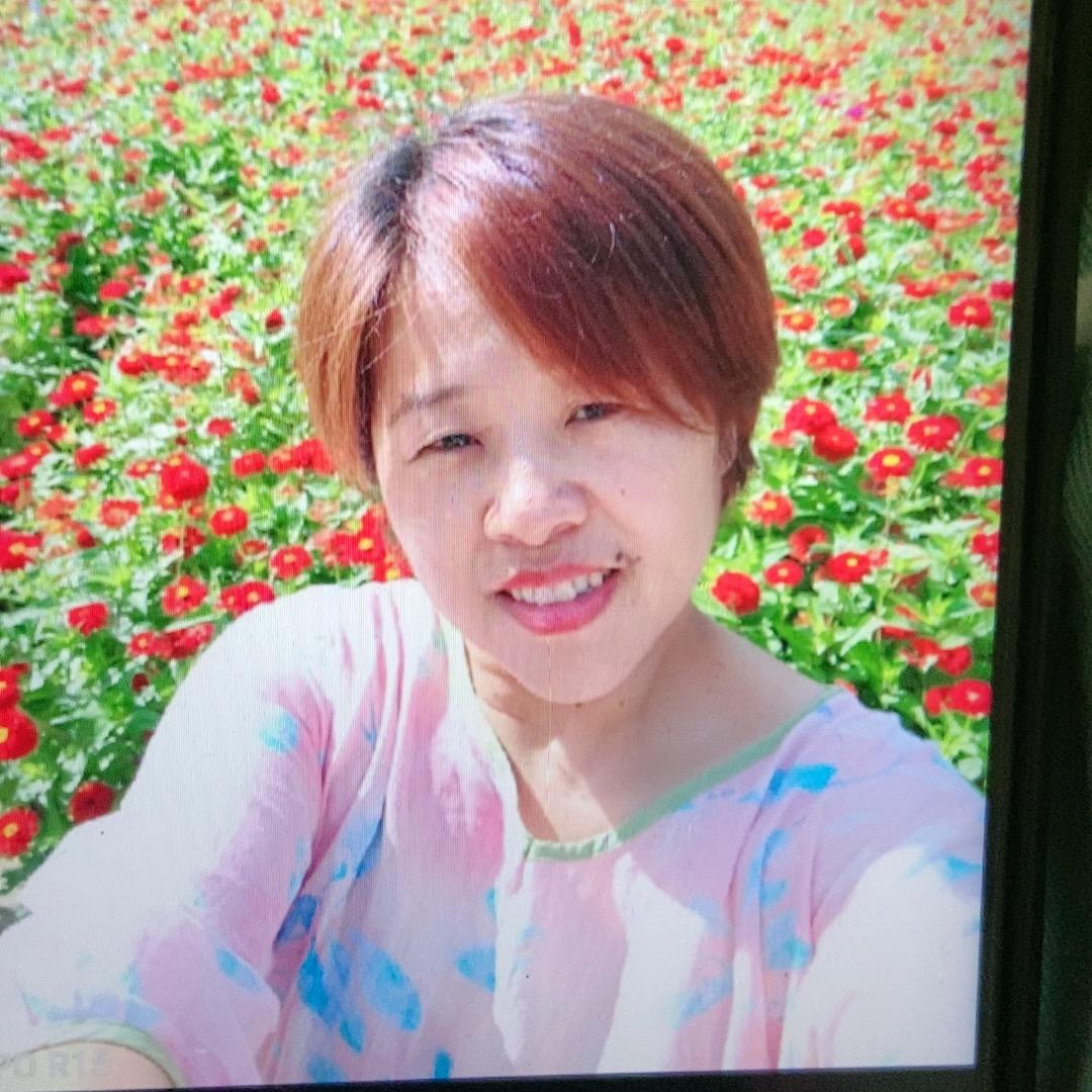 东北燕子19号豆油破价