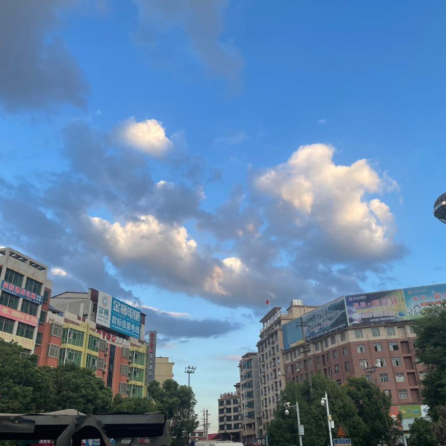 寒鸦