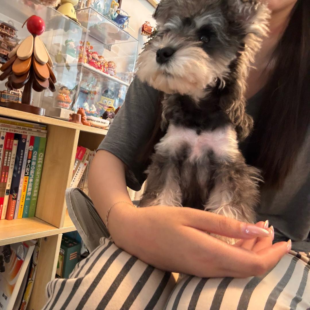森妹飞飞