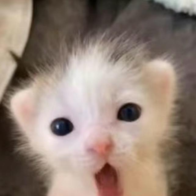 鱼鱼鱼鱼鱼鱼鱼