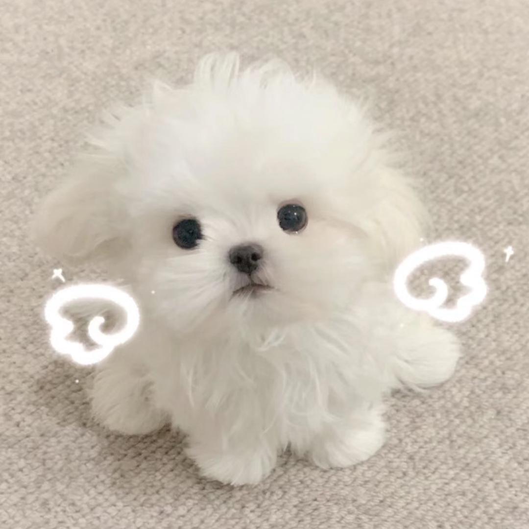 今晚要早睡✨