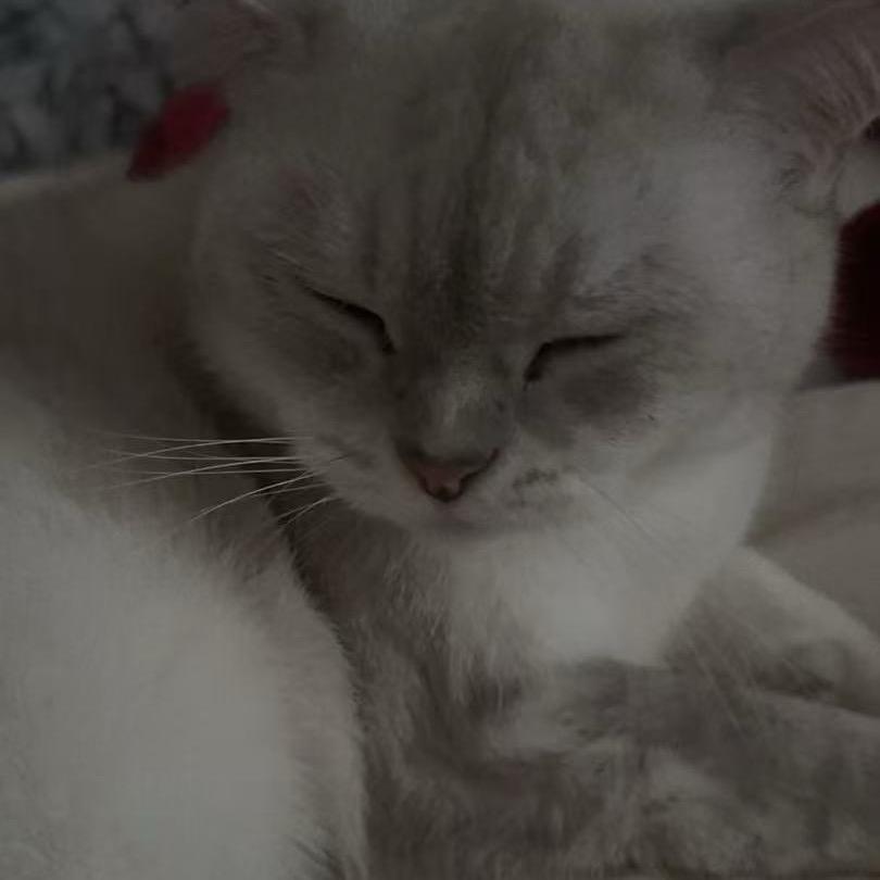 满山的猴子你腚最红