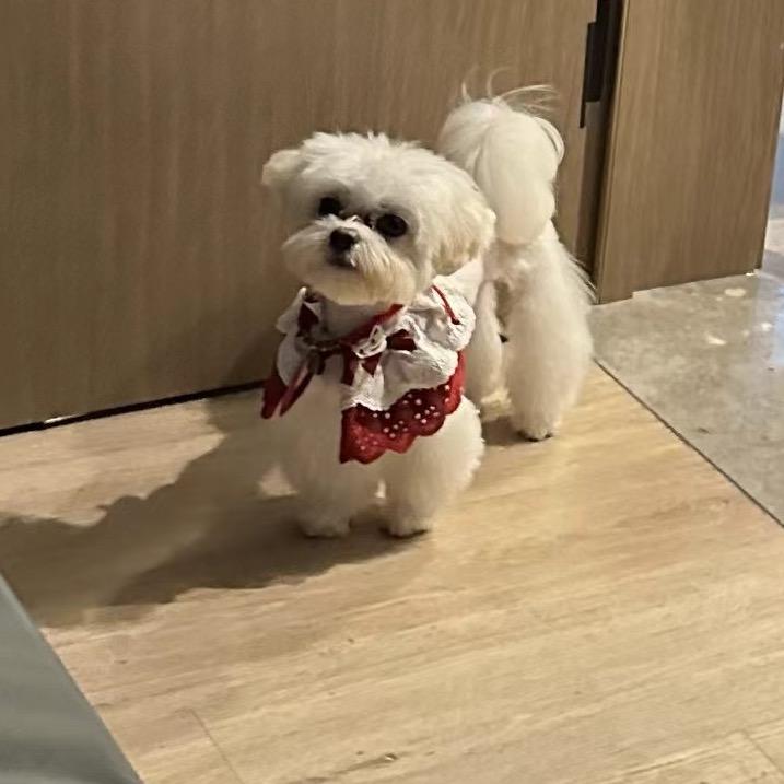 是仔仔呀