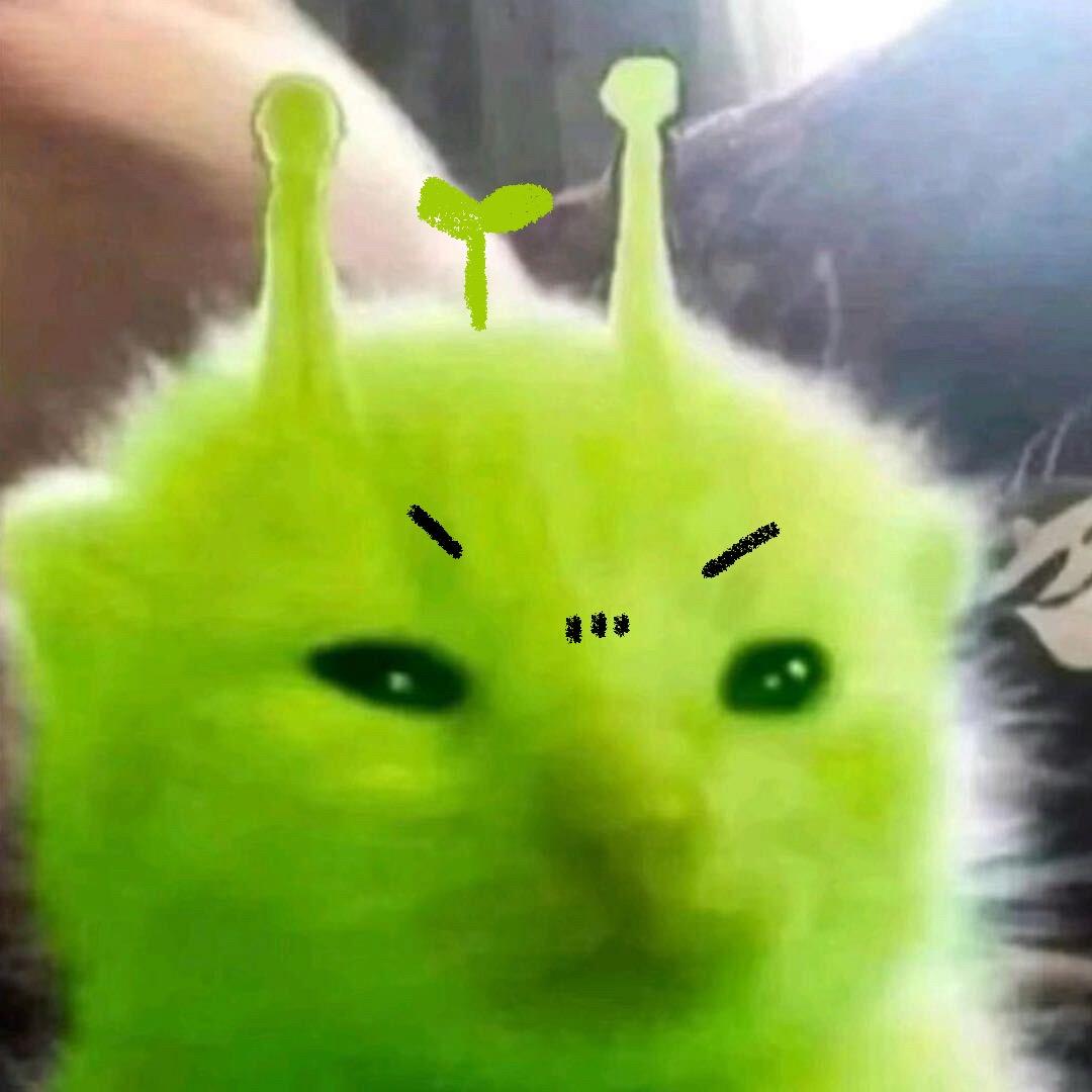 滚