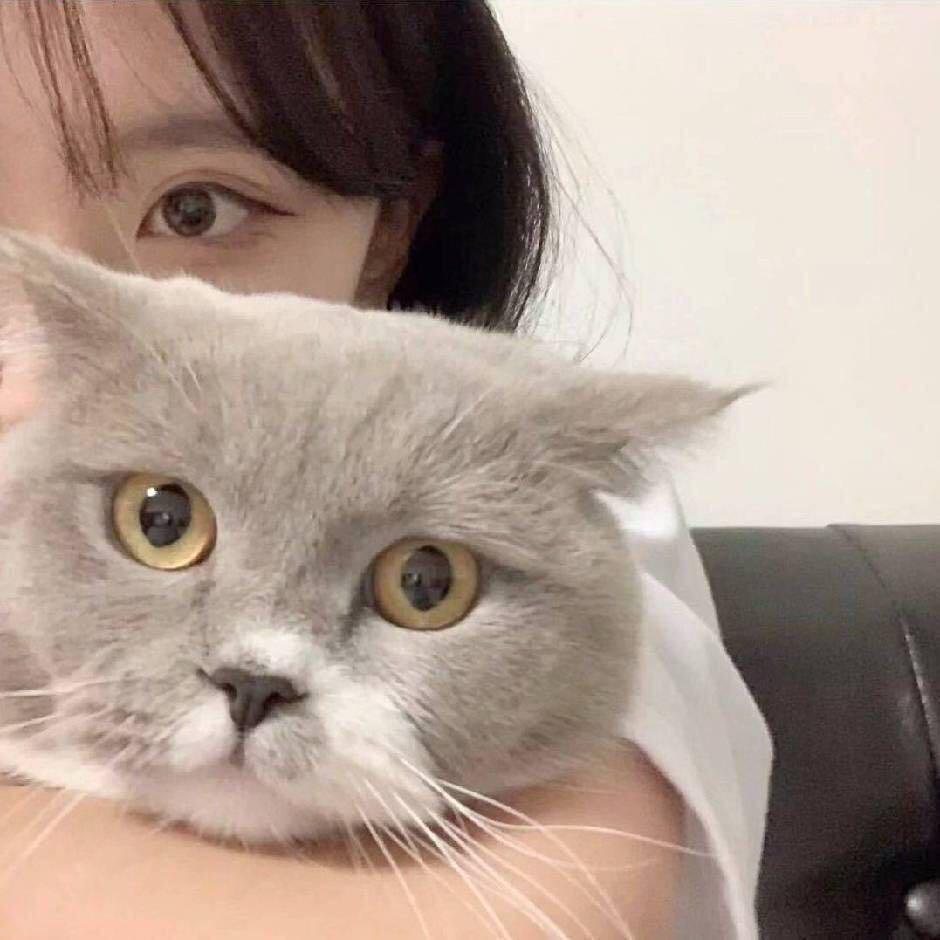 于漂亮 🧸