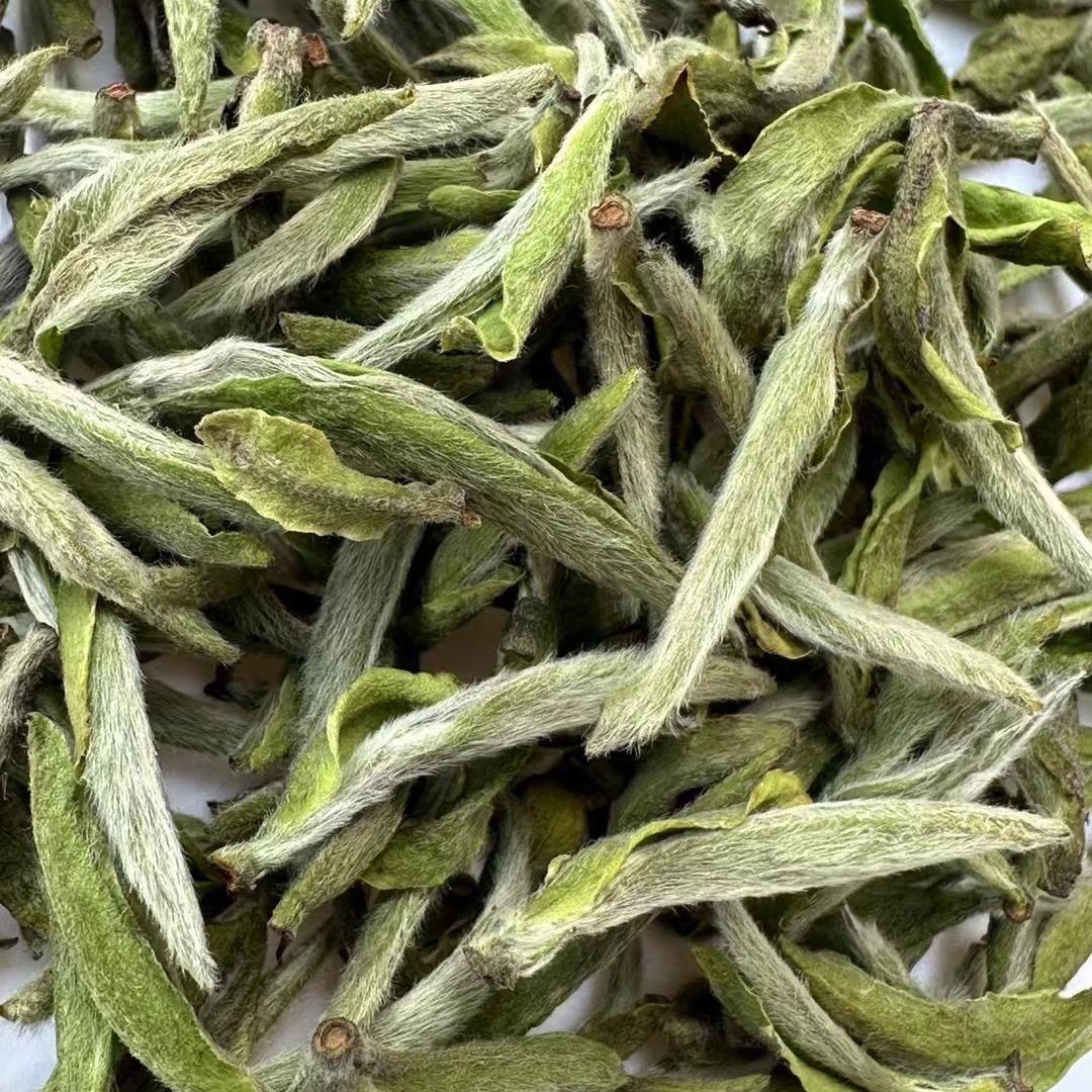 大洋山老枞茶园🍵