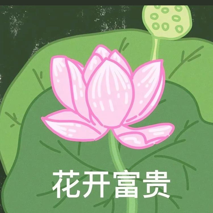 板栗好物分享❄️