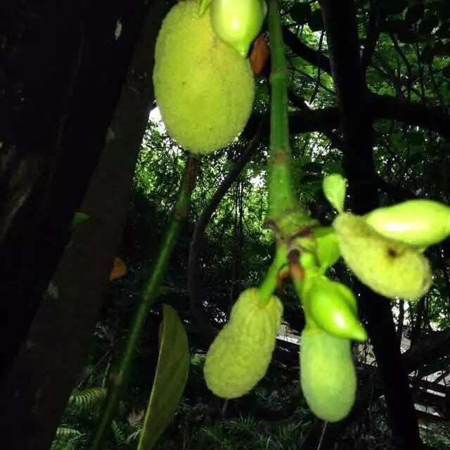 阳光