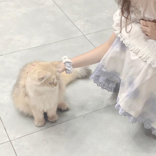 小怡宝
