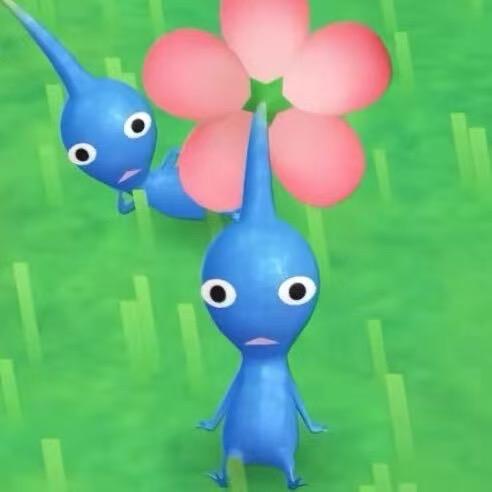 八十二岁拉菲草