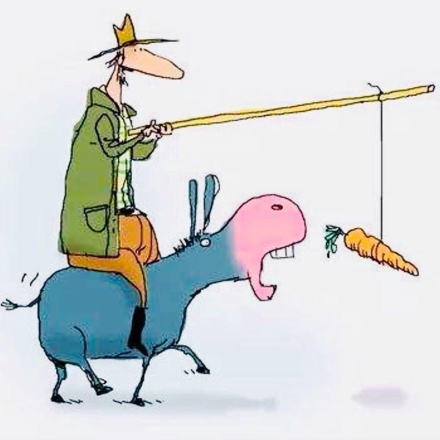 于哥教养鱼@抖音