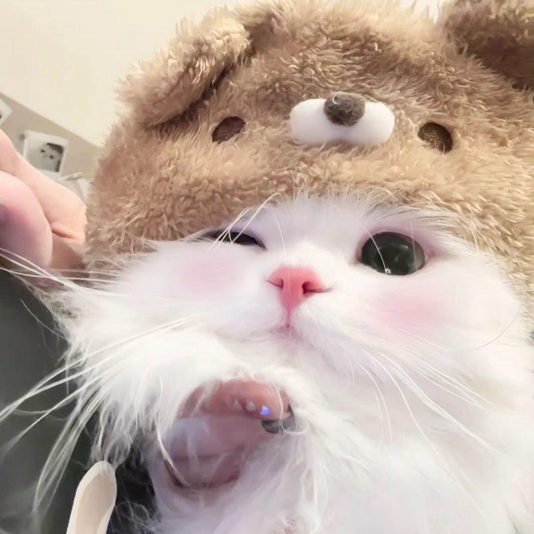 ve慧慧