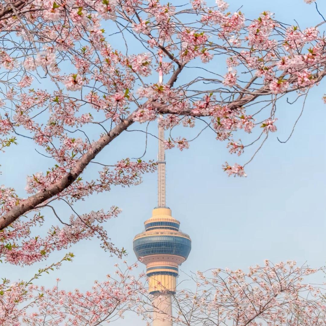 天降吉祥
