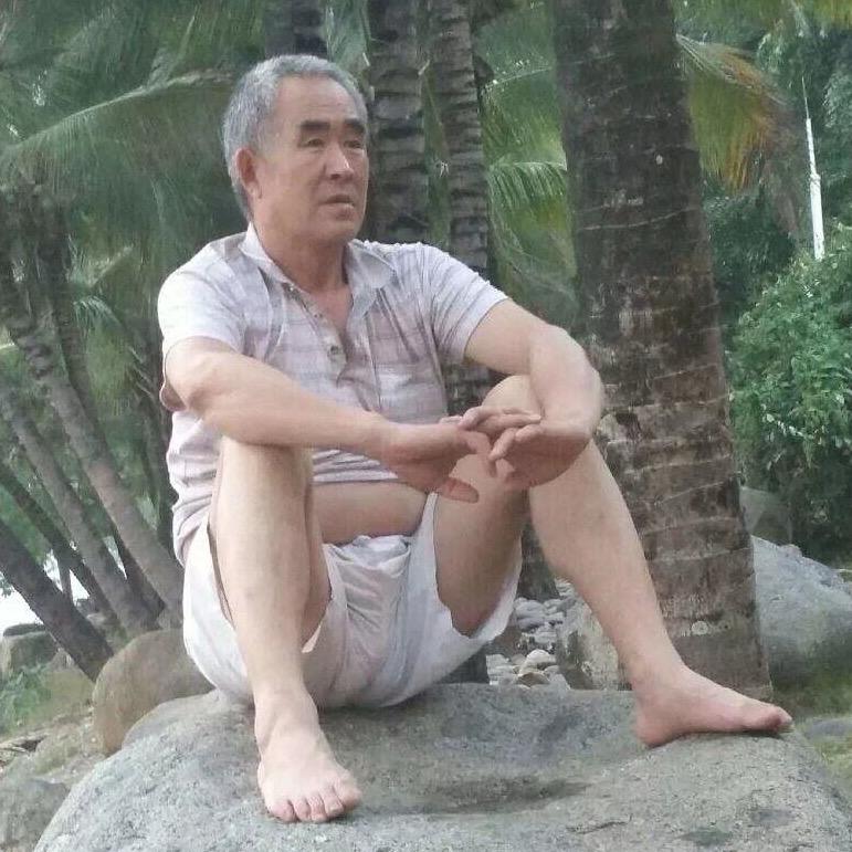 加拿大金丝牛