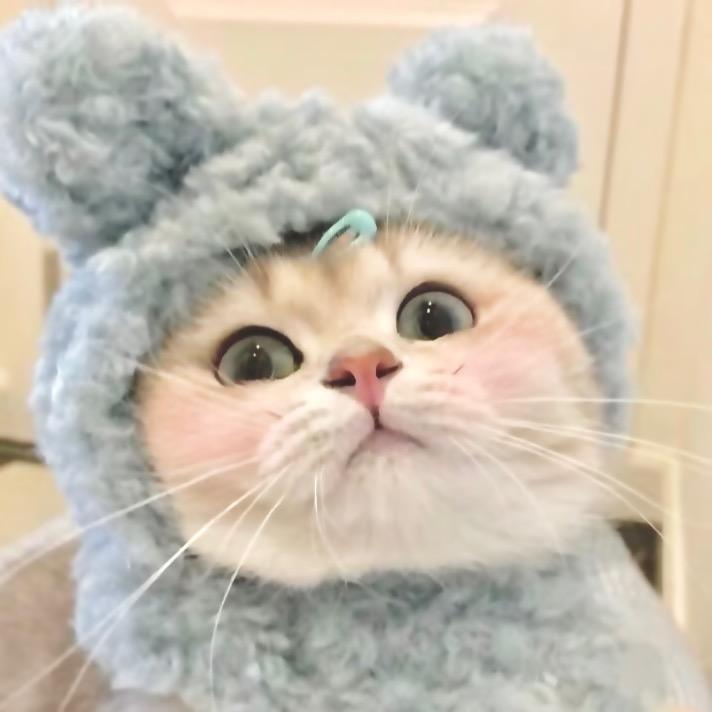 啦啦啦