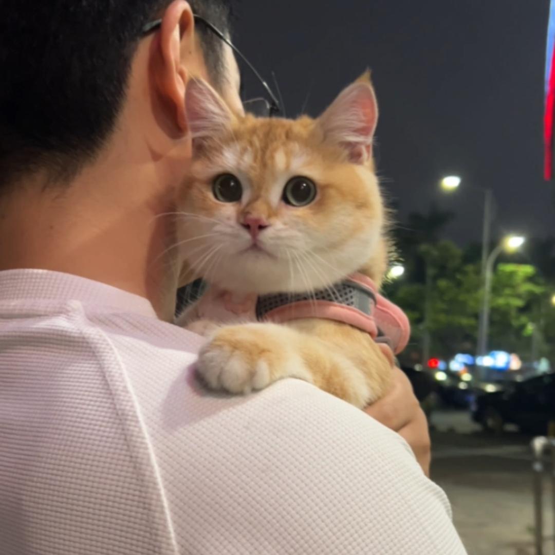 主唱和鱼豆腐