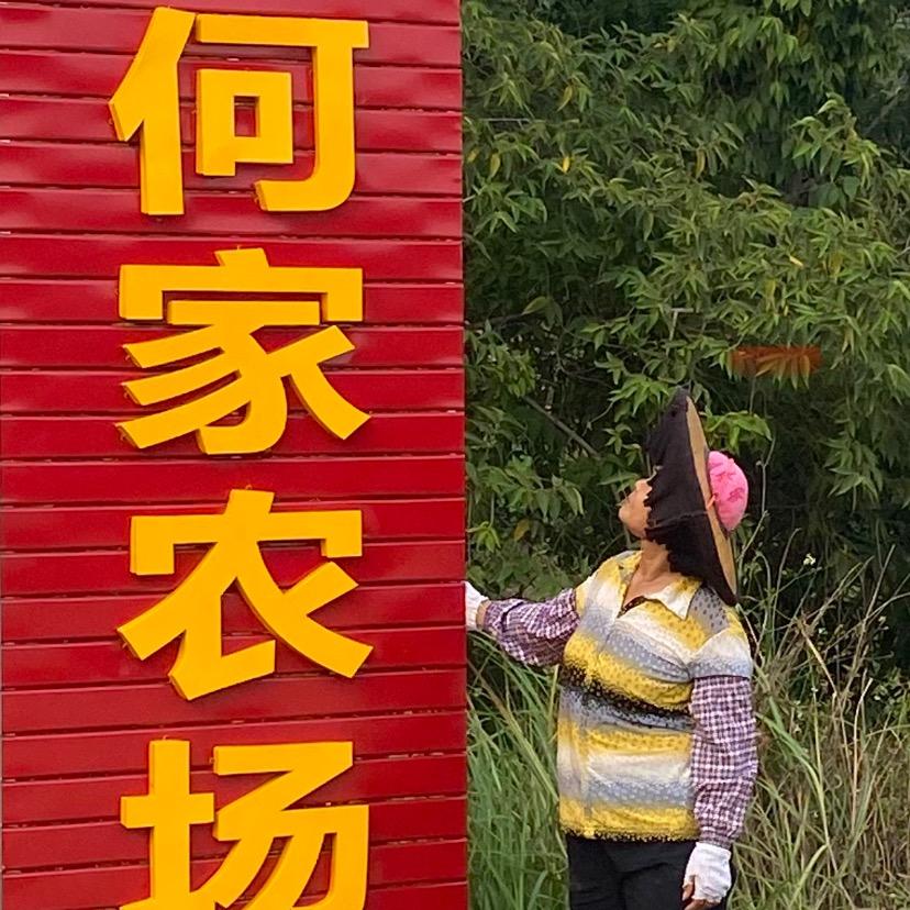 何家农场惠东