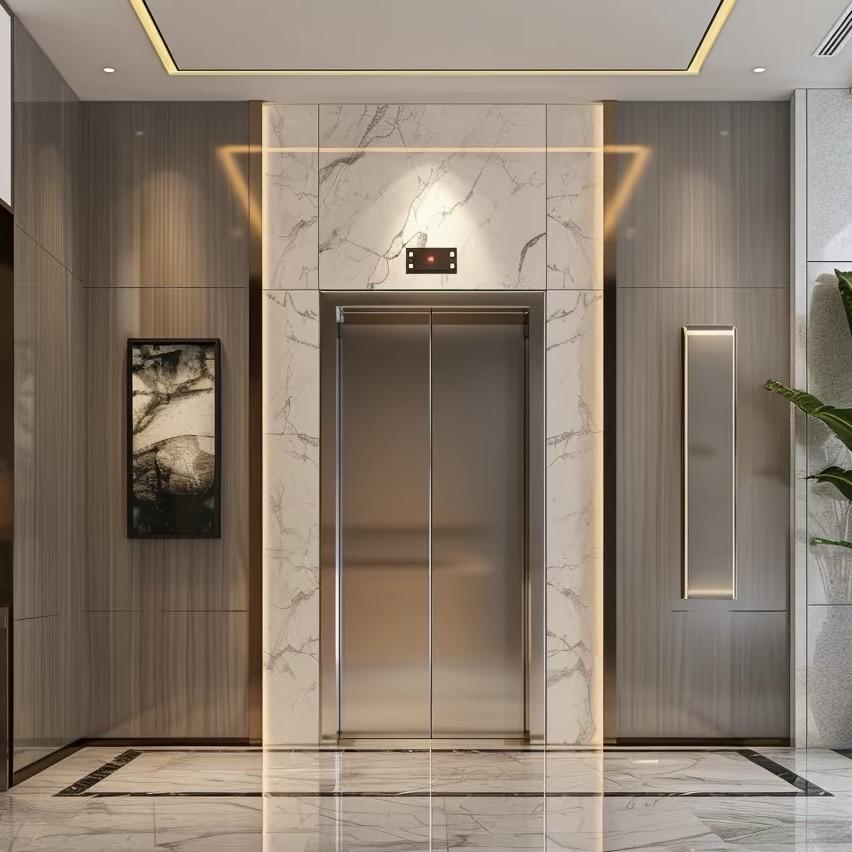 通快电梯河北臻选阁