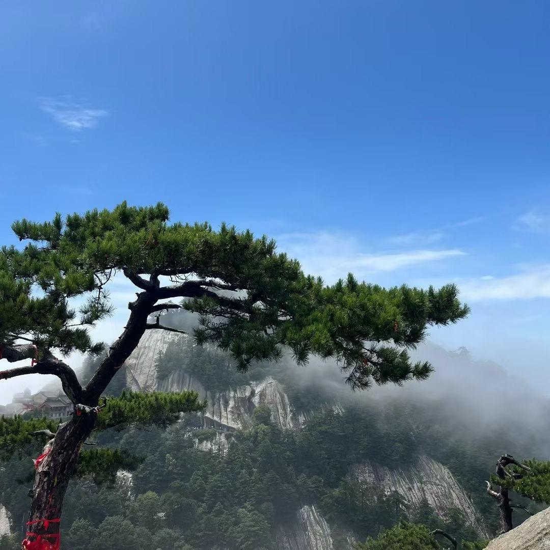 远方