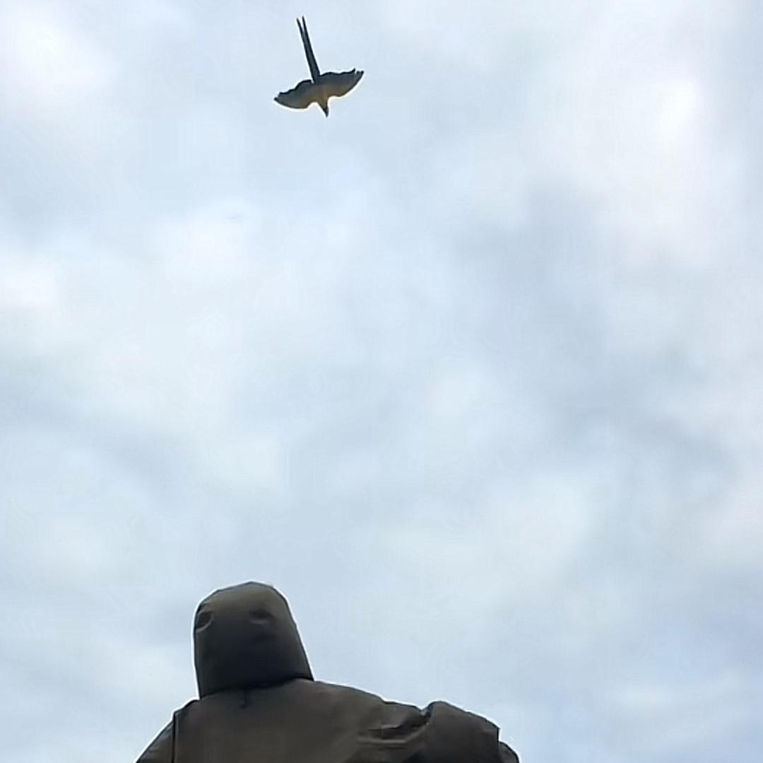 白天