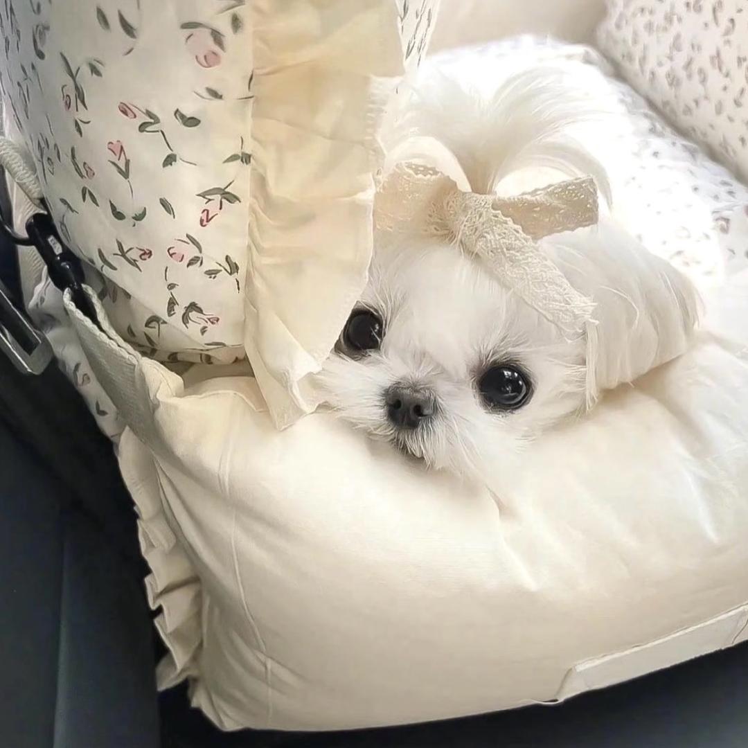 小年洁洁.