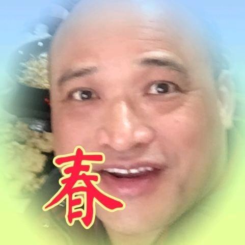 成春歌影