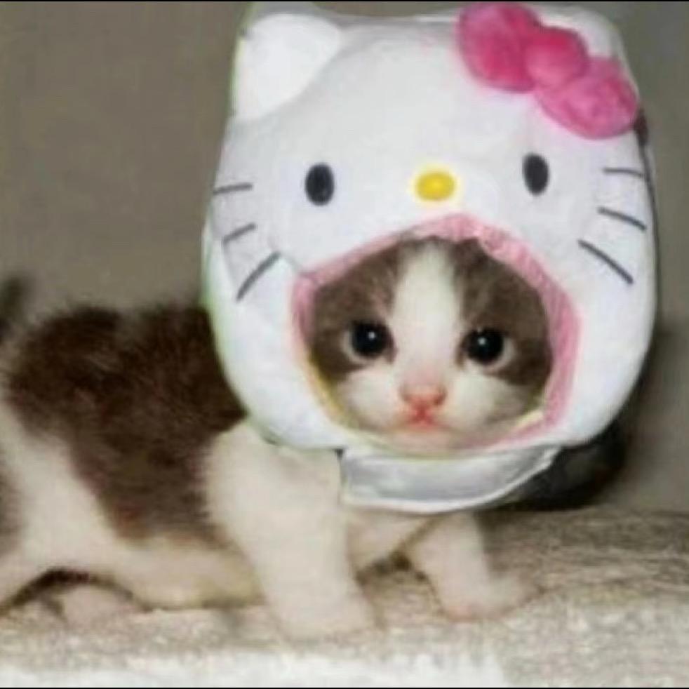 人类的说法算个屁