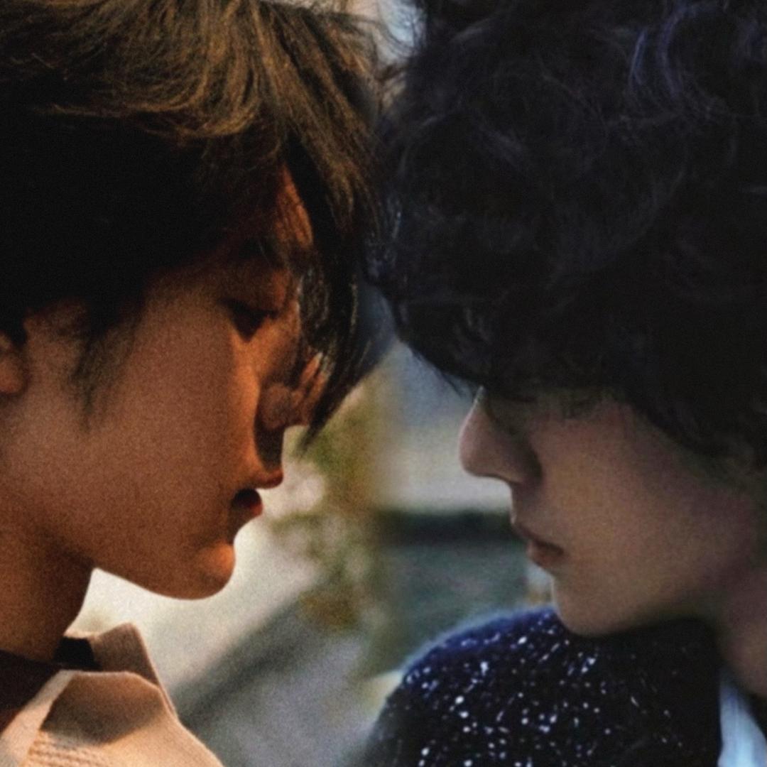 赞赞&的柴犬子🐶