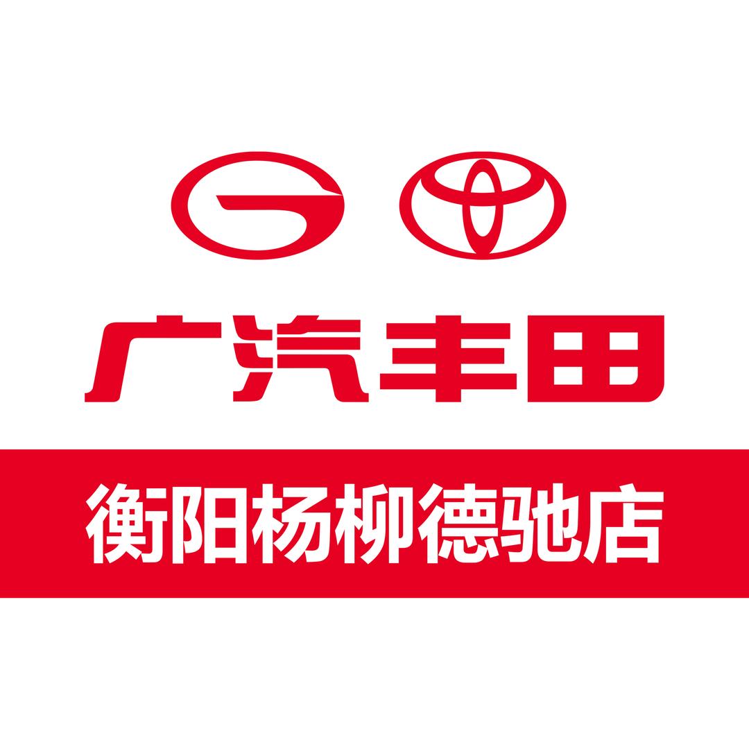 铂智衡阳杨柳德驰新能源体验店