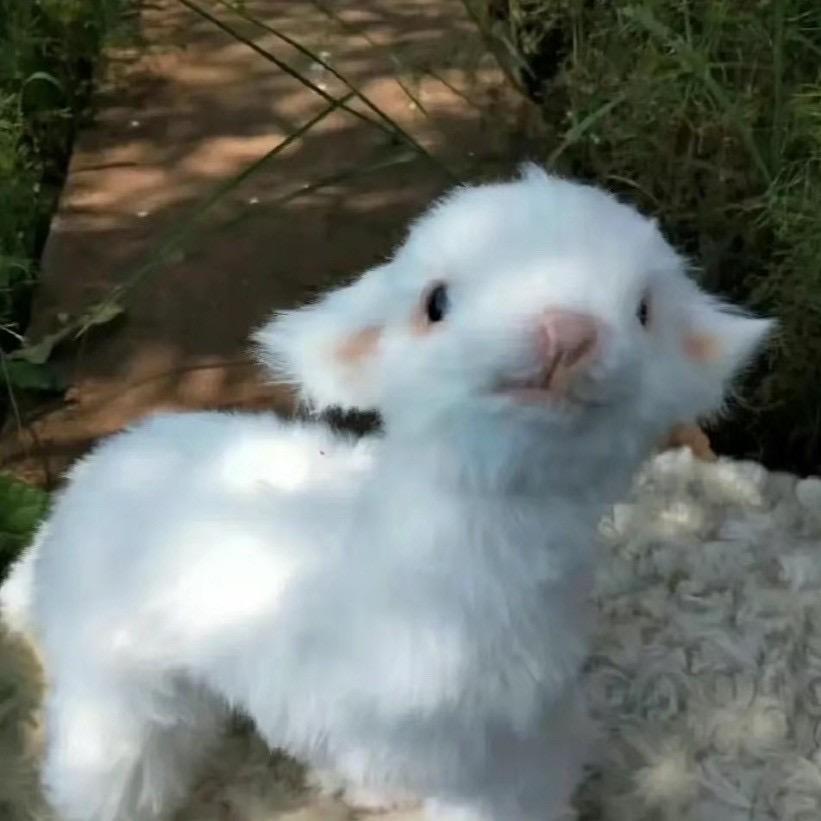 今晚早点睡。