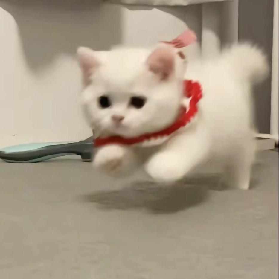 穗穗🎈