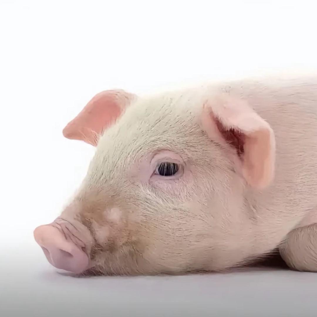 凌晨啊