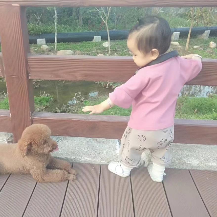 薰衣草