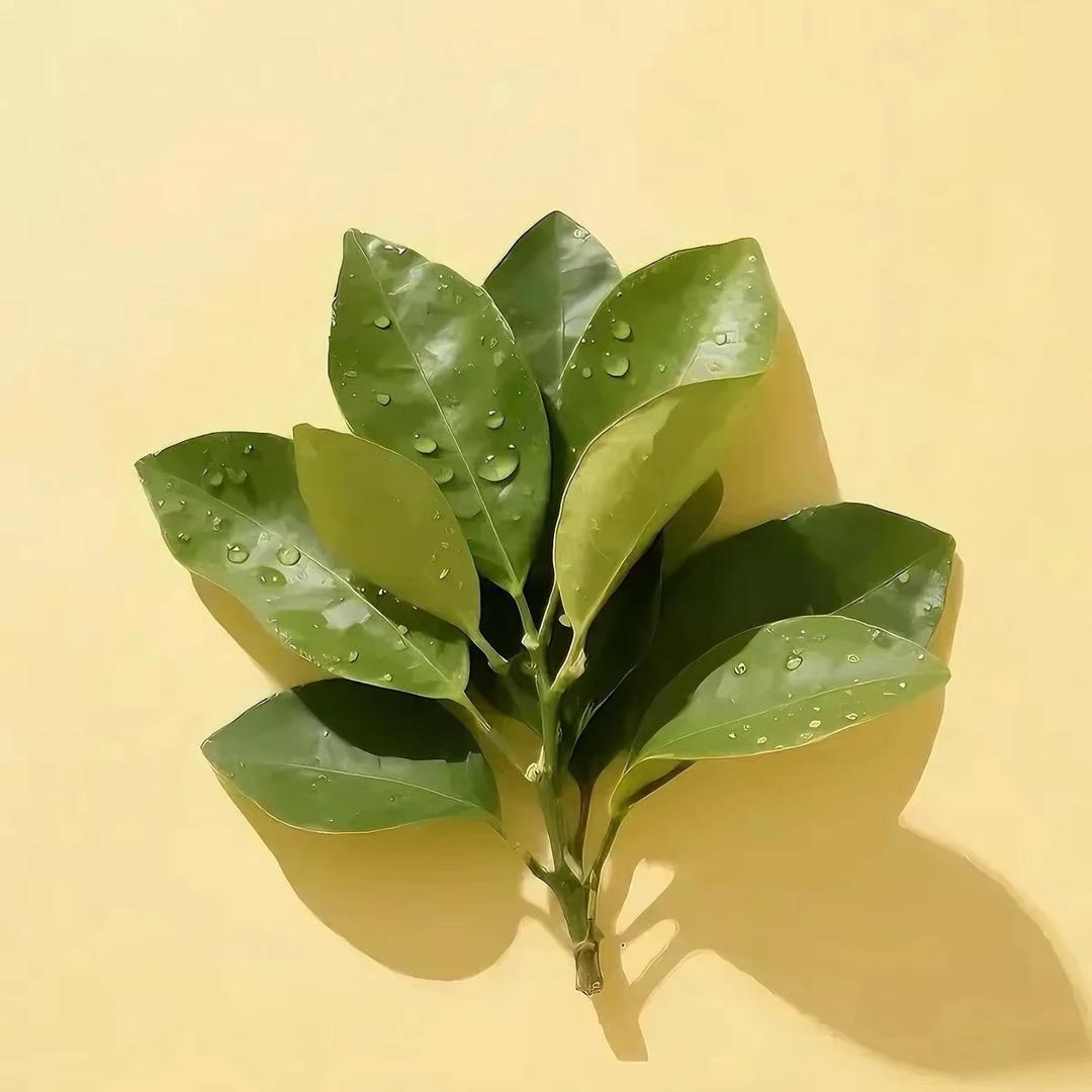 是睿睿麻麻呀