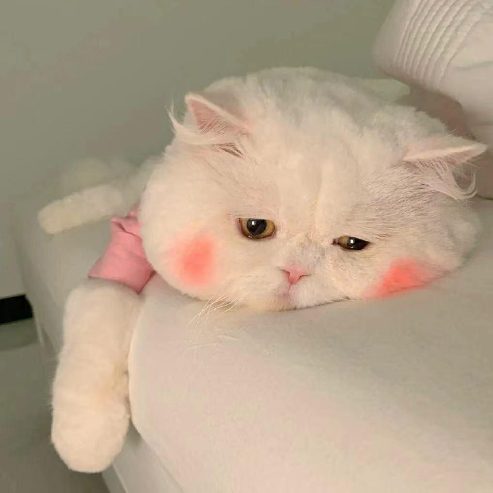恋爱意