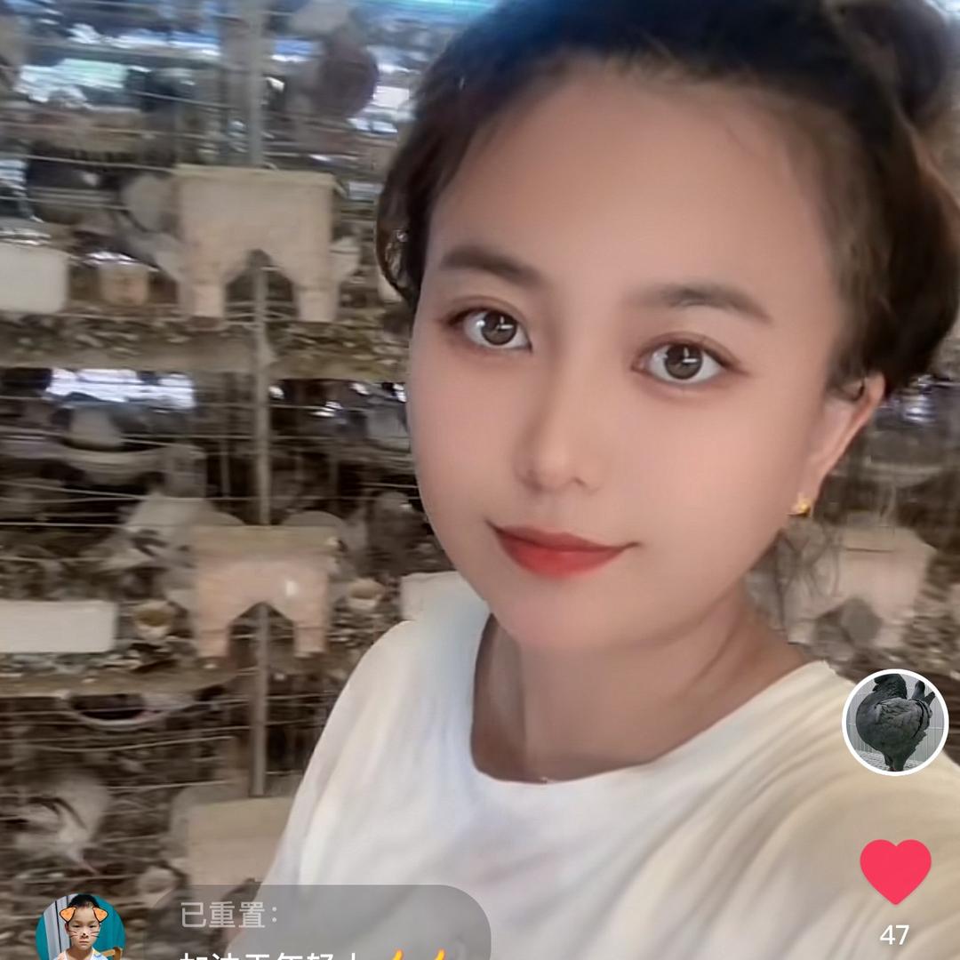 李氏鸽业商贸•