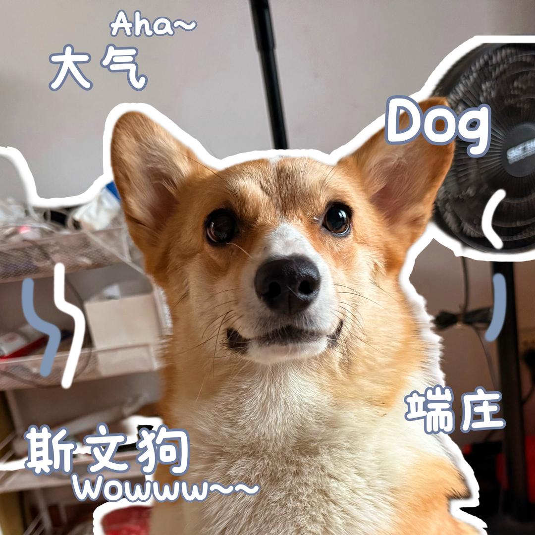 白告