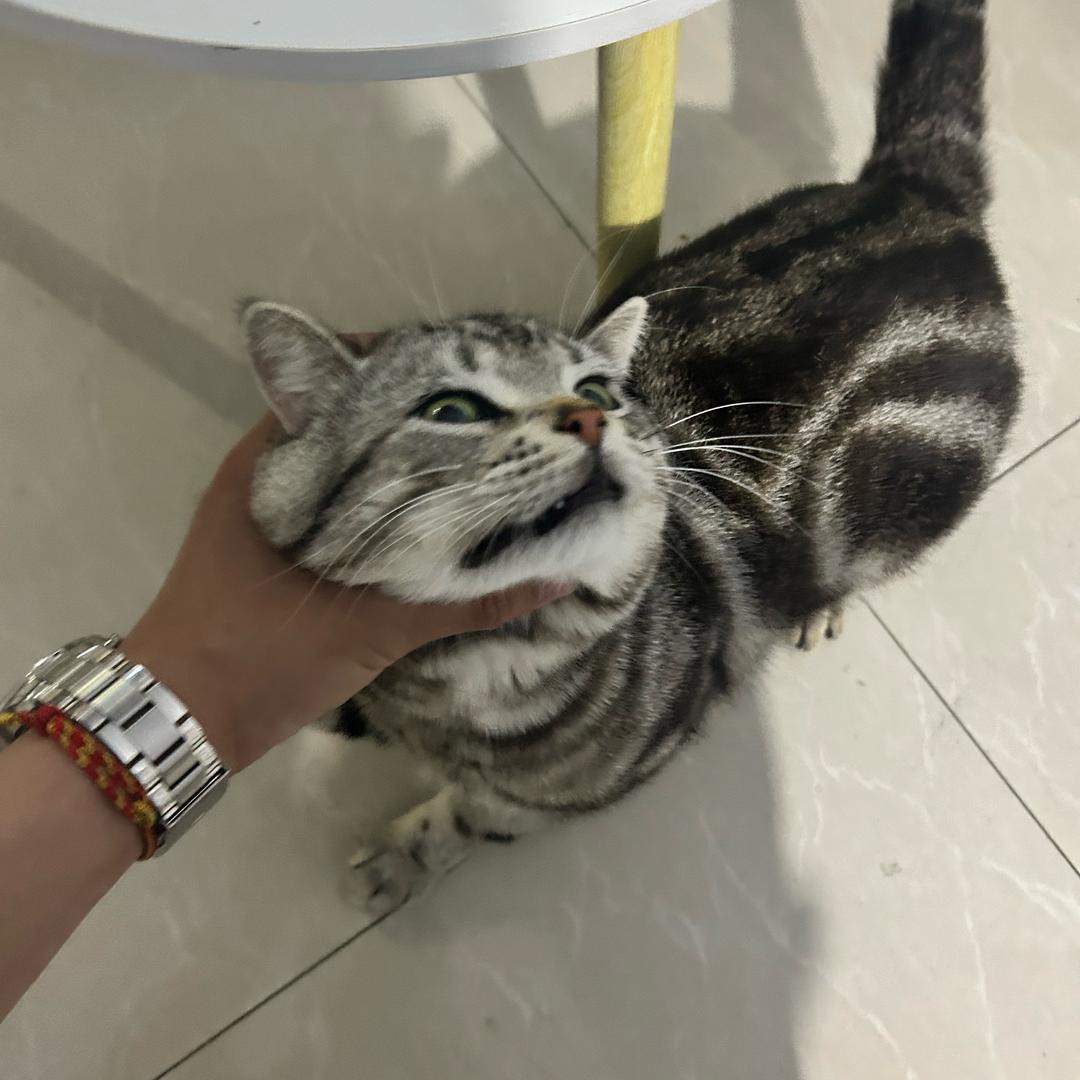 你吃晚饭了吗