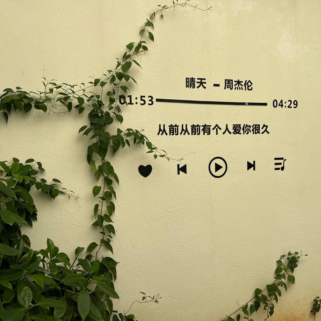 耶律储才